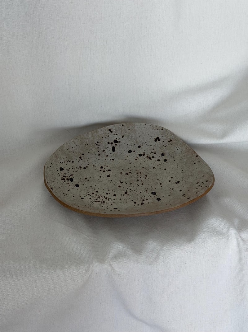 Plate set of two, handbuilt ceramic plates with a speckled glaze, 8.5 x 7.5 in and 6 x 5.5 in